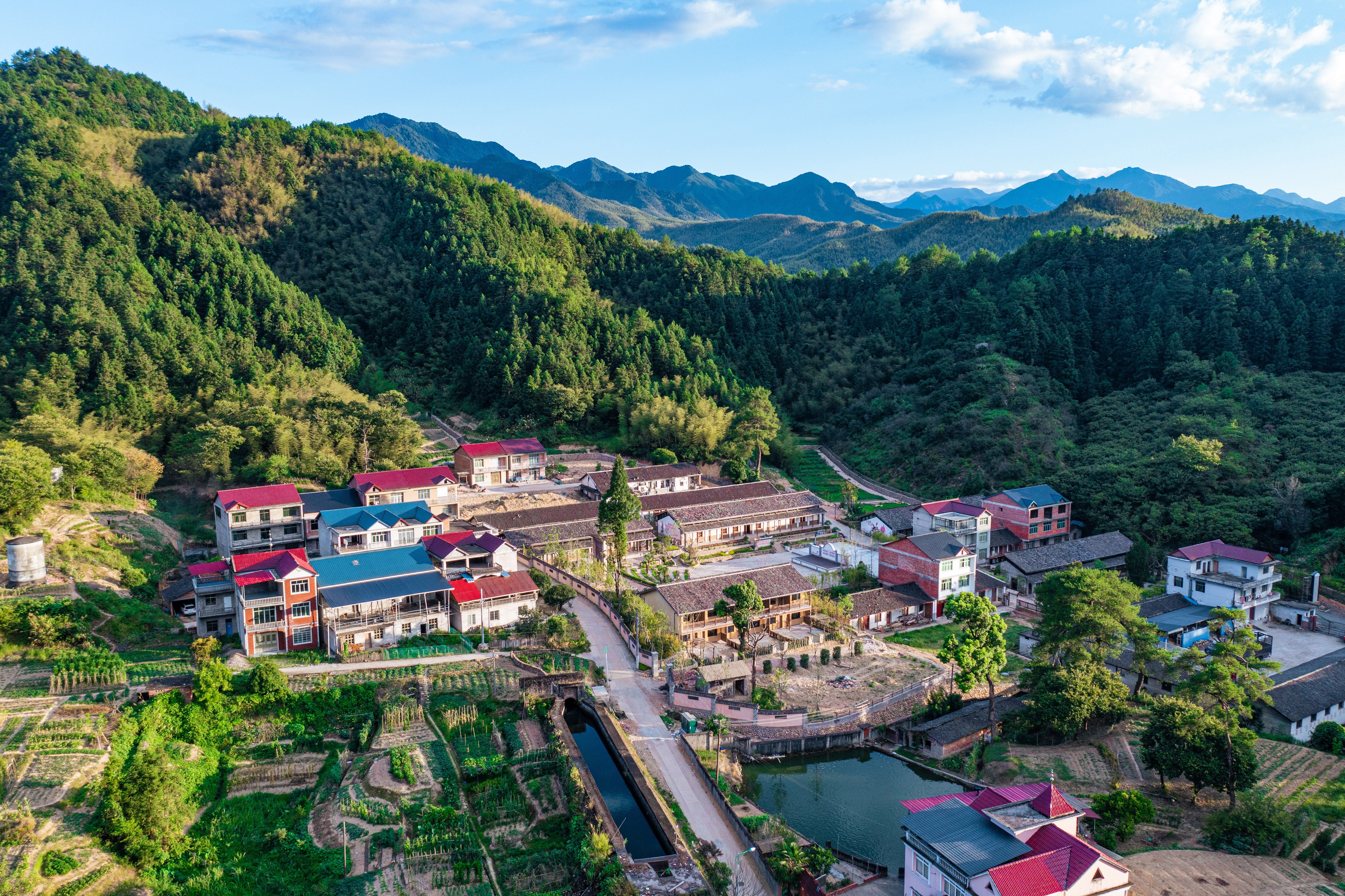 行游五府山：解密3宝，山野美味游走舌尖，传递平实的幸福