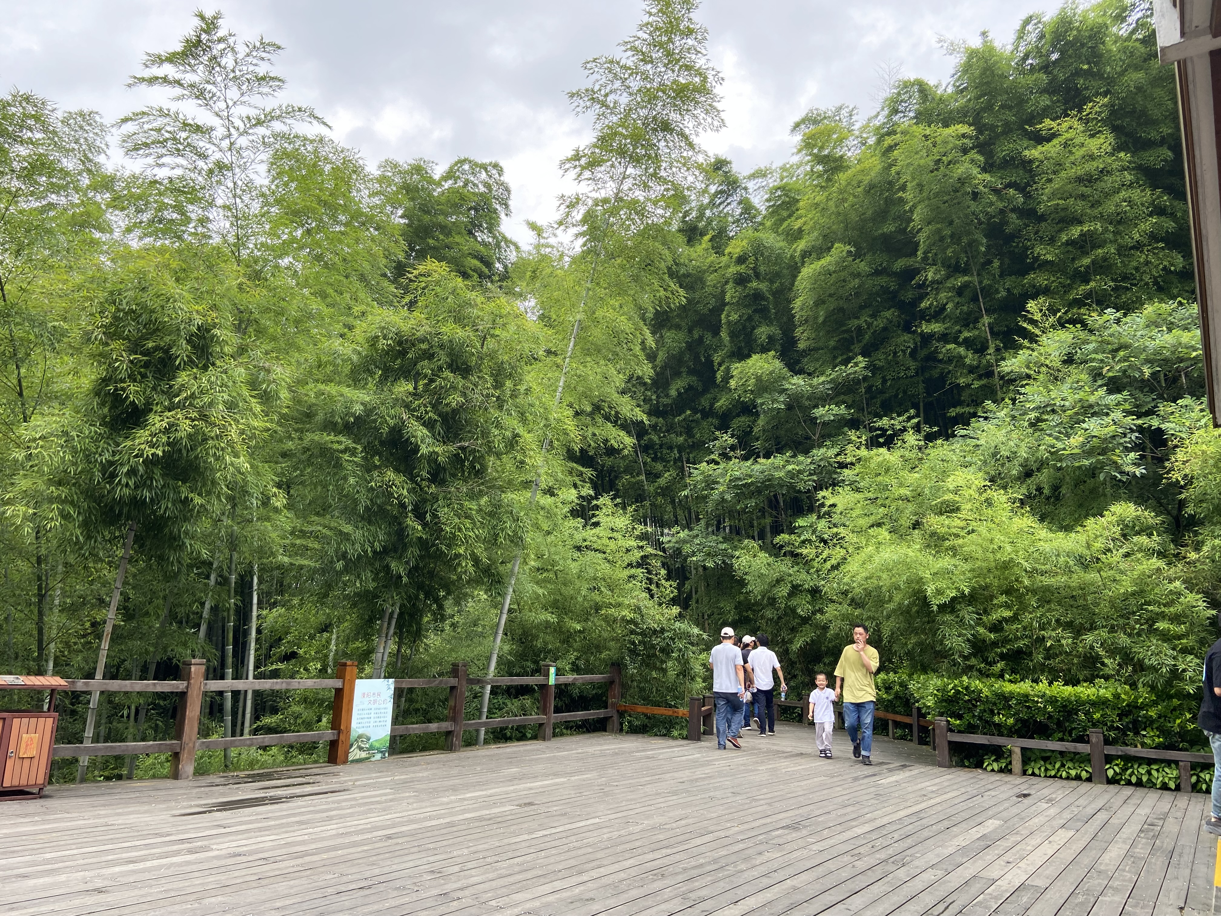 天目湖南山竹海附近游玩,常州天目湖南山竹海免费