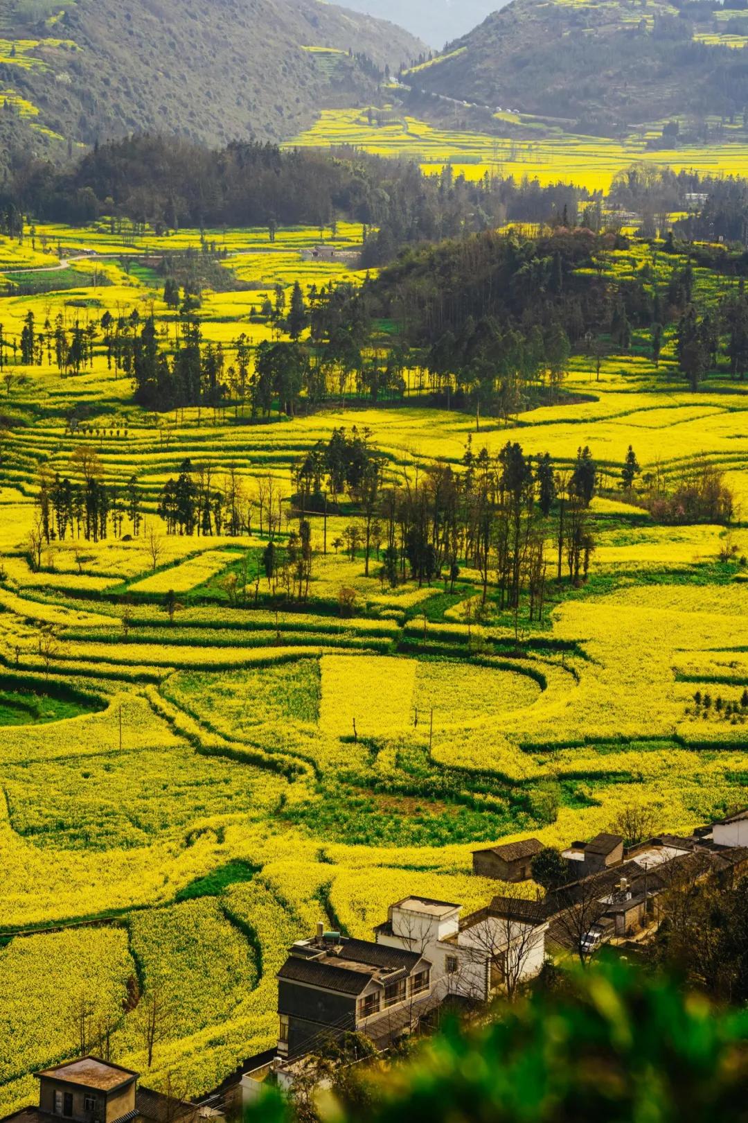 预测刷屏！疫情今春有望结束？适合2月去的18个大美山河准备好了