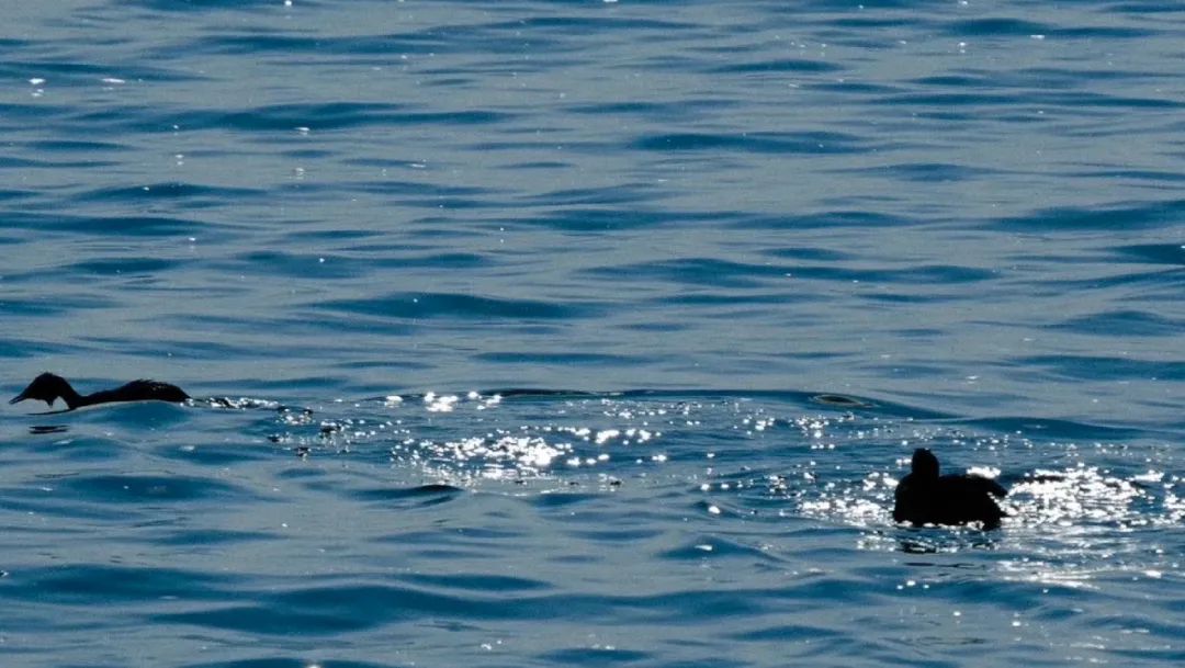 婚姻没爱了还要继续吗,婚姻没感情了要不要凑合过一辈子