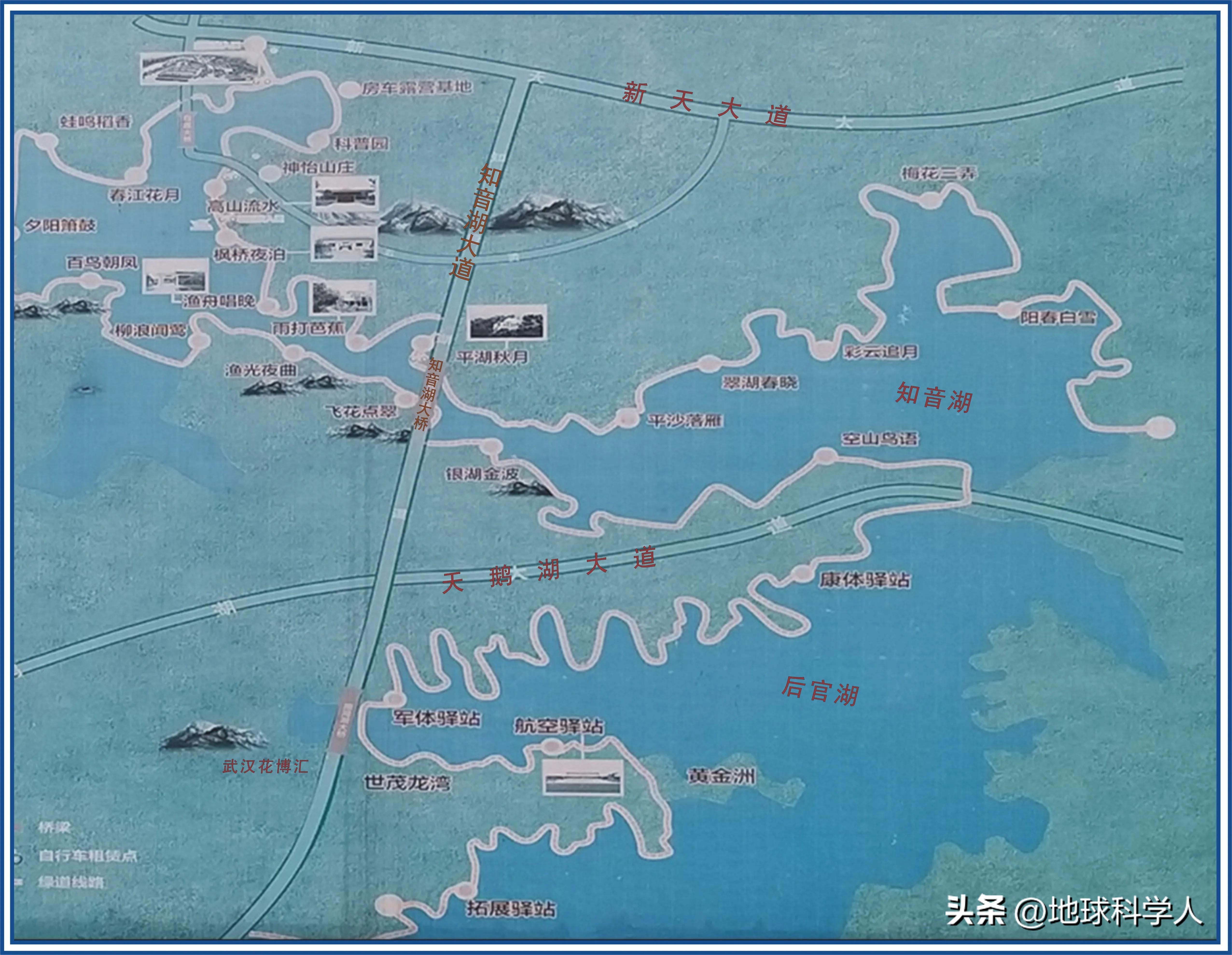 武汉后官湖湿地风景,蔡甸区后官湖国家湿地公园一日游