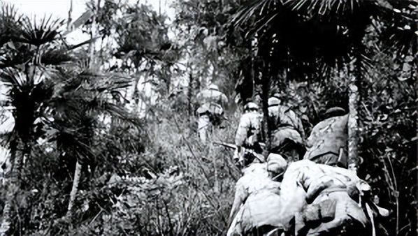 韦秀英祸乱广西，毛主席怒批，派*剑英叶**围剿