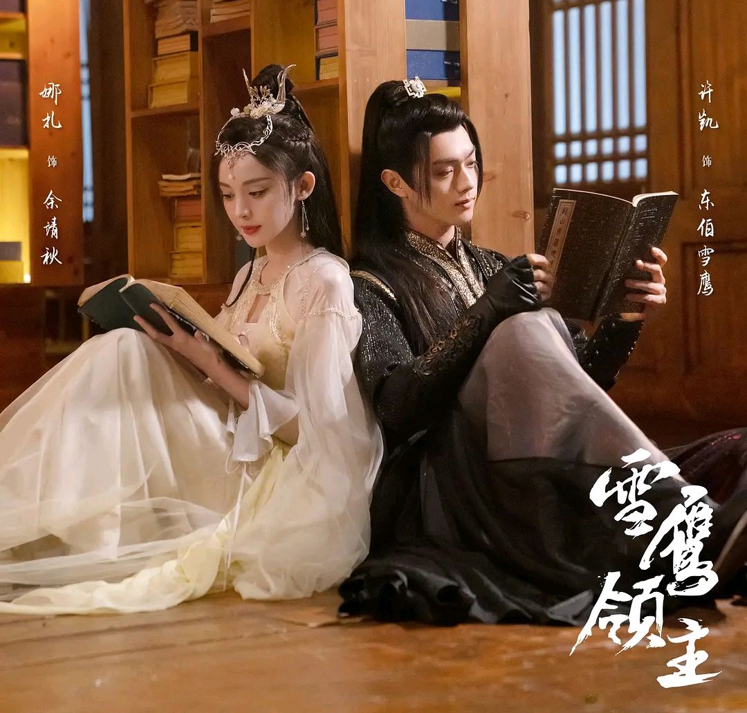 雪鹰领主好不好看,雪鹰领主真人版评价