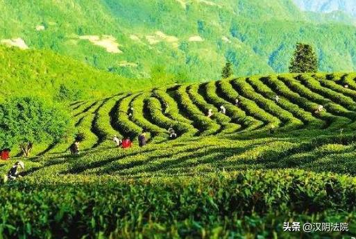 中国*产党共**第二十次全国代表大会今日开幕【10月16日周日新闻速览一分钟】