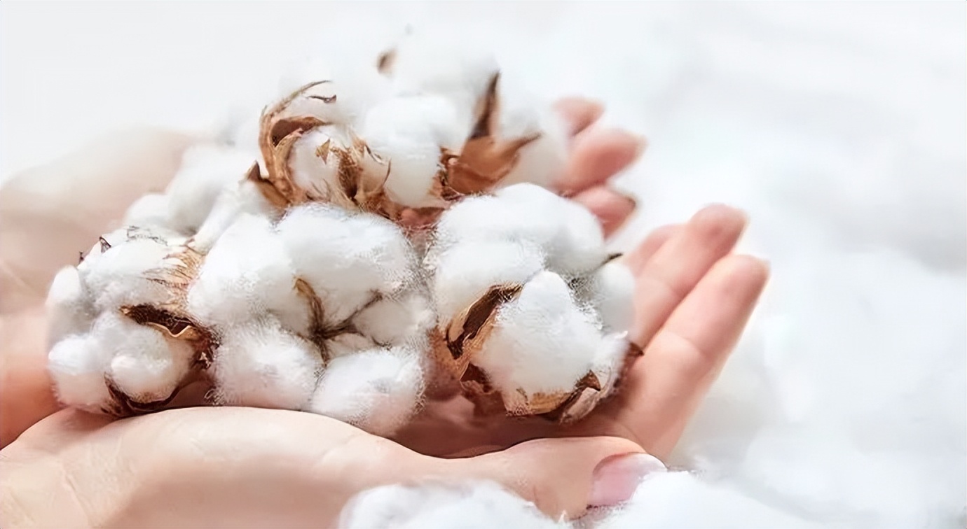 女子买二手包包竟发现小票签名,女子买二手包里竟装着大牌首饰