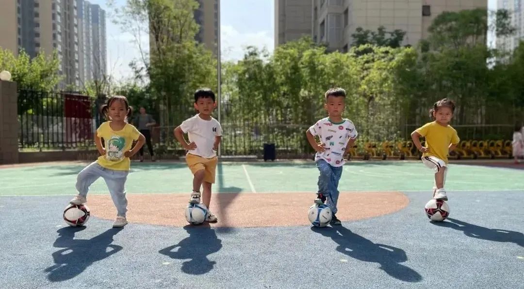 沣东新城公办幼儿园有哪些,沣东幼儿园排行榜