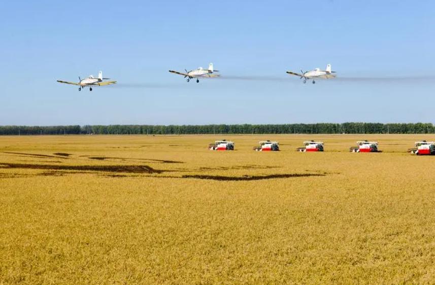 北大荒垦荒什么时候开始的,北大荒退耕还荒原因