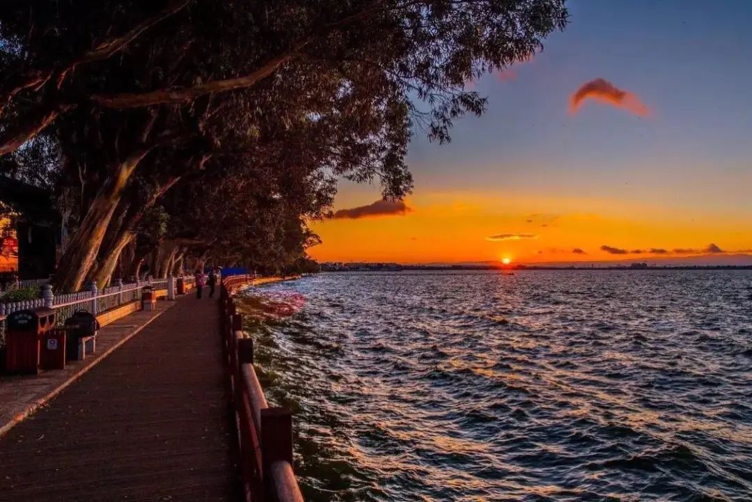 来海埂公园感受初夏浪漫,享受周末休闲快乐时光