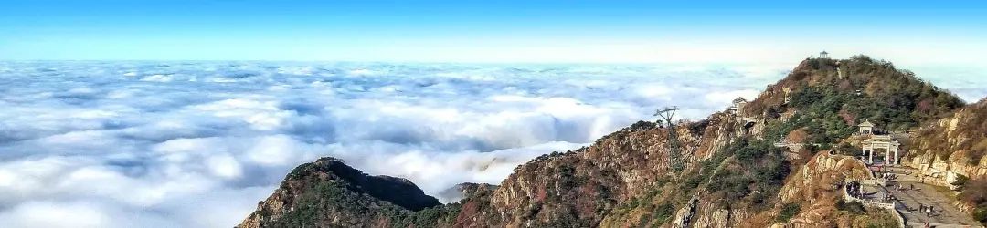 推进中国式现代化的山东实践,在中国式现代化中展现山东担当