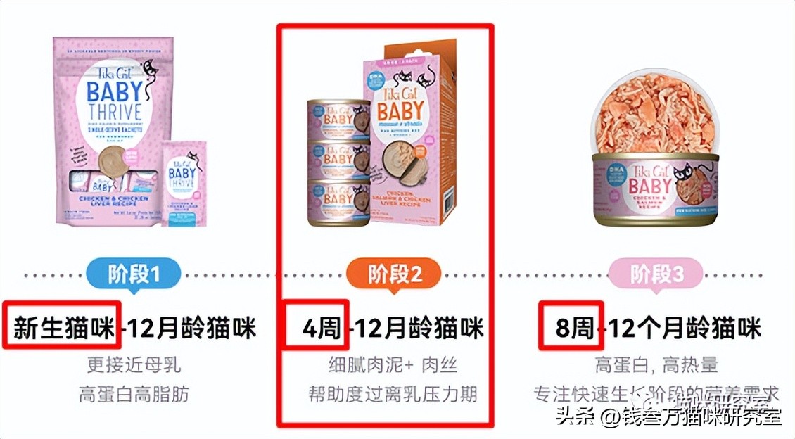 流浪猫幼猫主食罐推荐,幼猫主食罐推荐