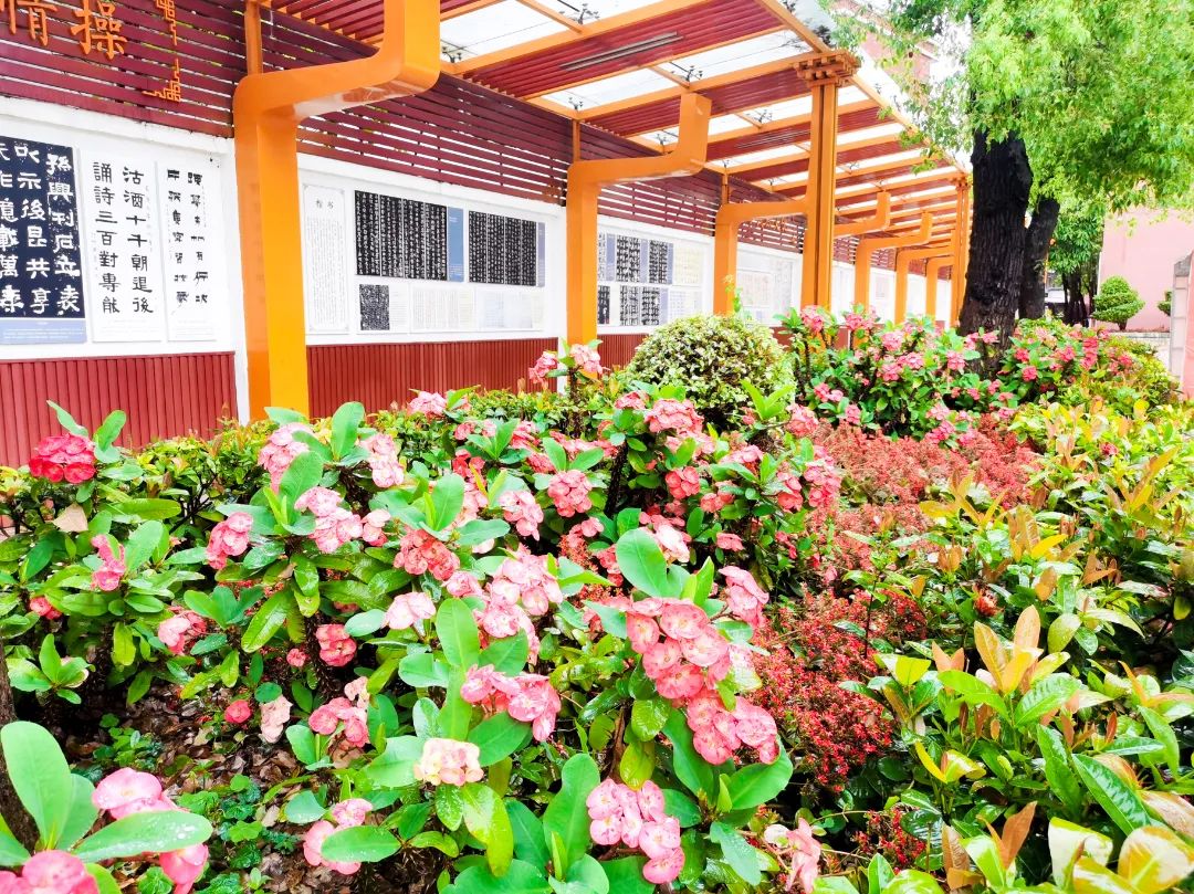 东莞四海学校招生简章,东莞2024石碣四海学校排名怎么样