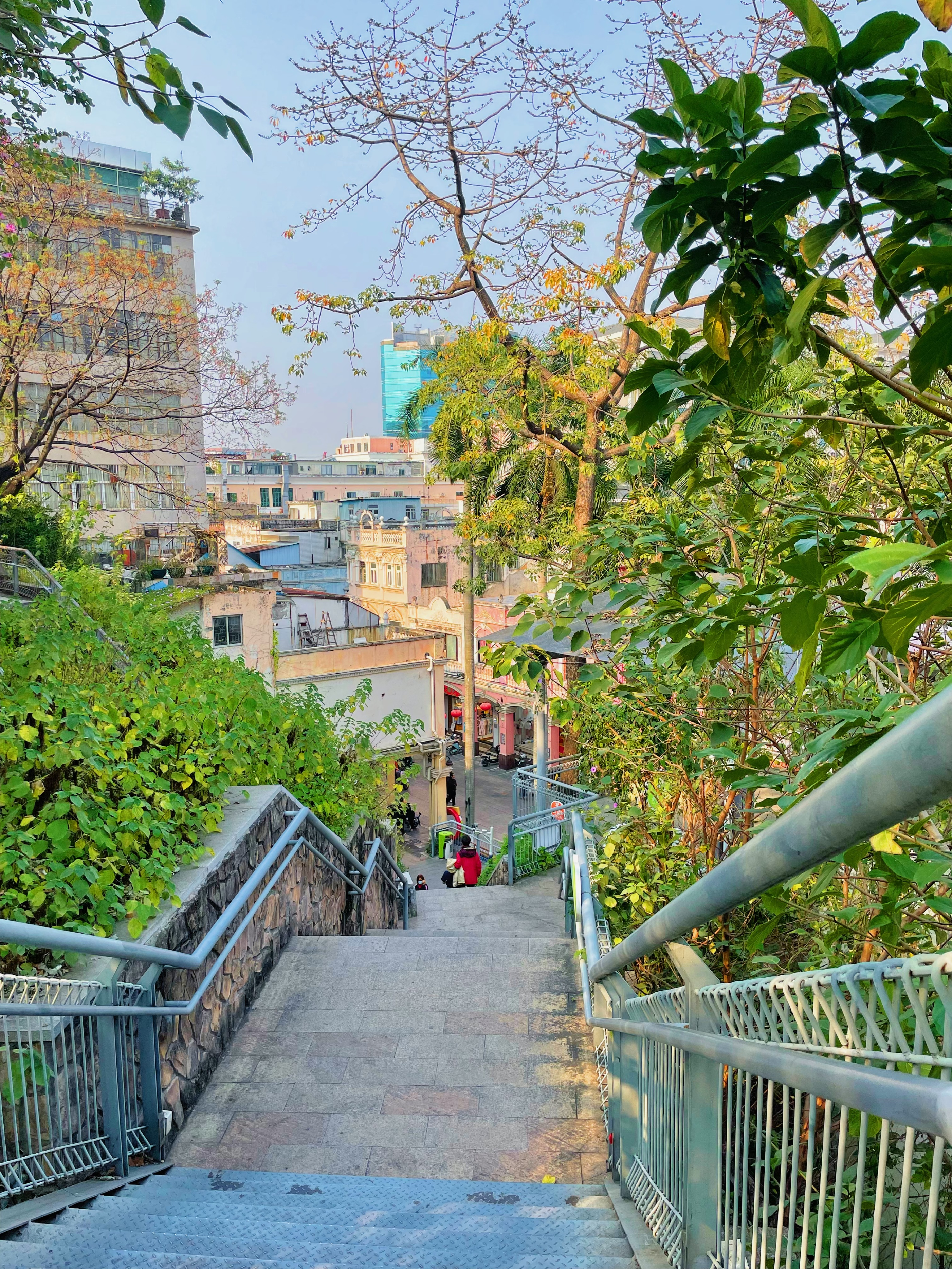 顺德渔人码头游玩攻略,顺德游玩攻略景点大全