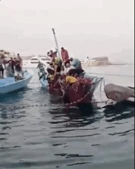 俄罗斯男子在海边被鲨鱼咬死,俄罗斯男子被鲨鱼咬死鲨鱼被捕