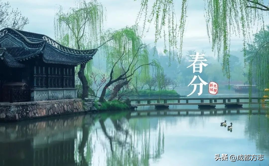 春分必吃三种食物,春分前吃什么野菜最好