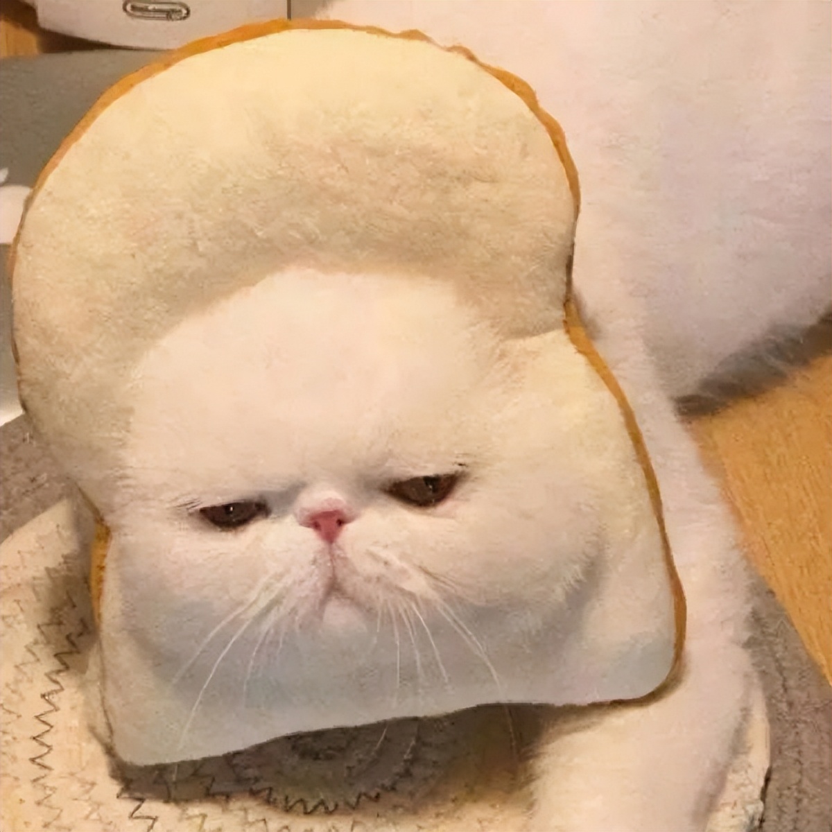 小棕瓶为什么越来越便宜,小棕瓶的缺点