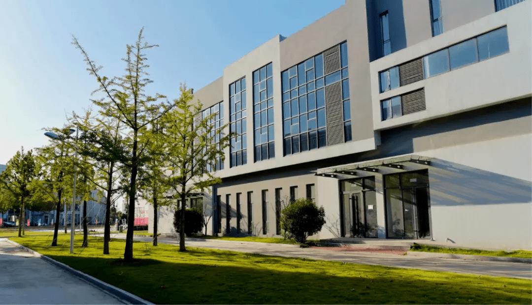 黄金仁笔下的花鸟,有一种清雅、诗意的美