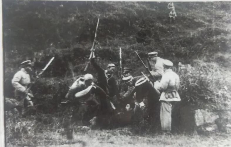 张寡妇的故事,张寡妇怎么成为悍匪的