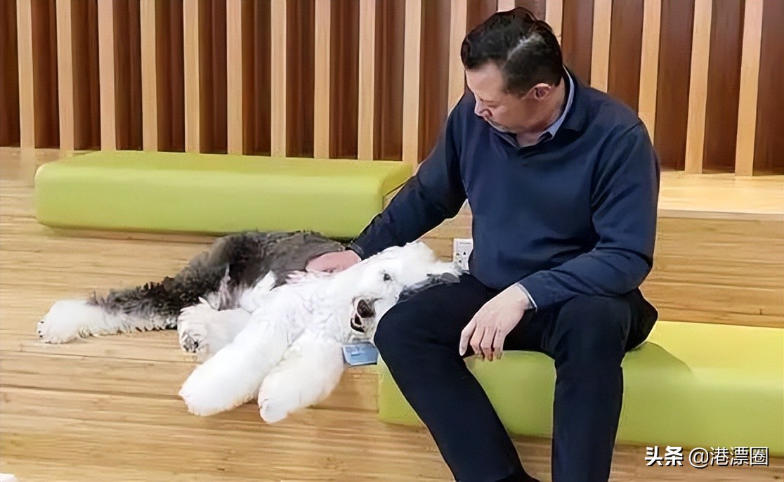 在梦想学府香港大学读书是怎样一种体验？