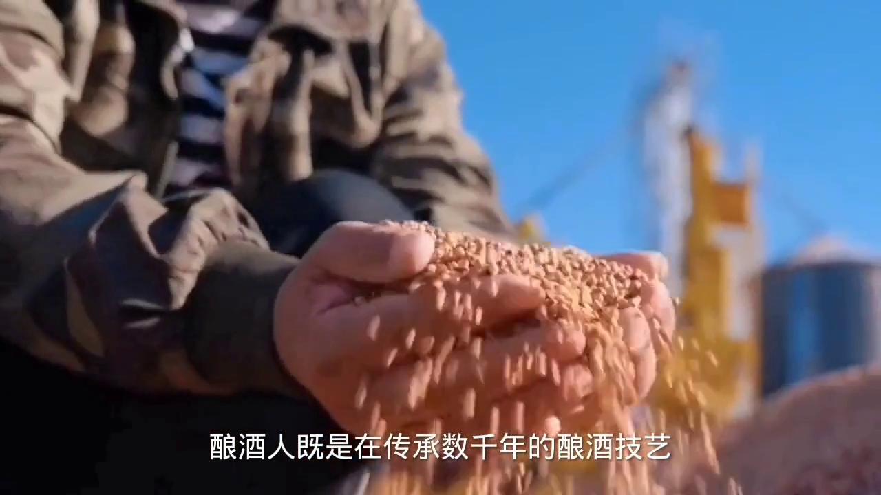 全智能白酒酿酒机,全自动白酒酿酒设备一体机家用