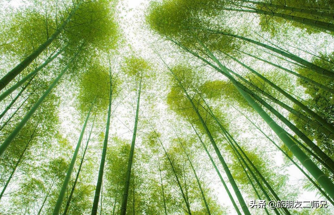 从化吕田一日游必去景点,从化溪头村自驾徒步攻略