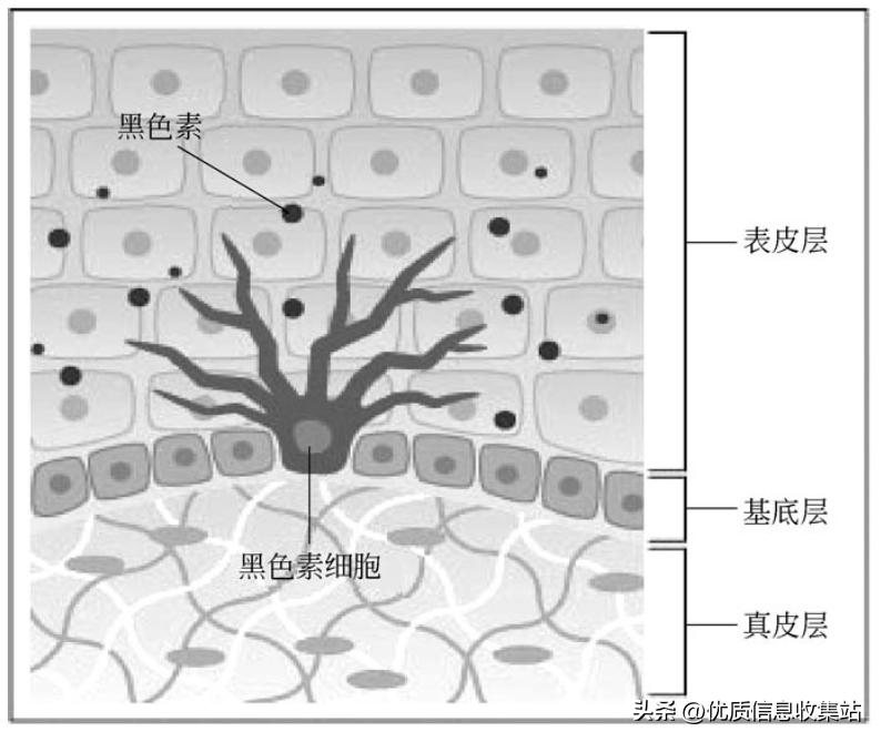 护肤书单爆款,美容化妆品书籍