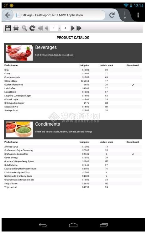 fastreport报表服务器,怎么创建一个fastreport报表