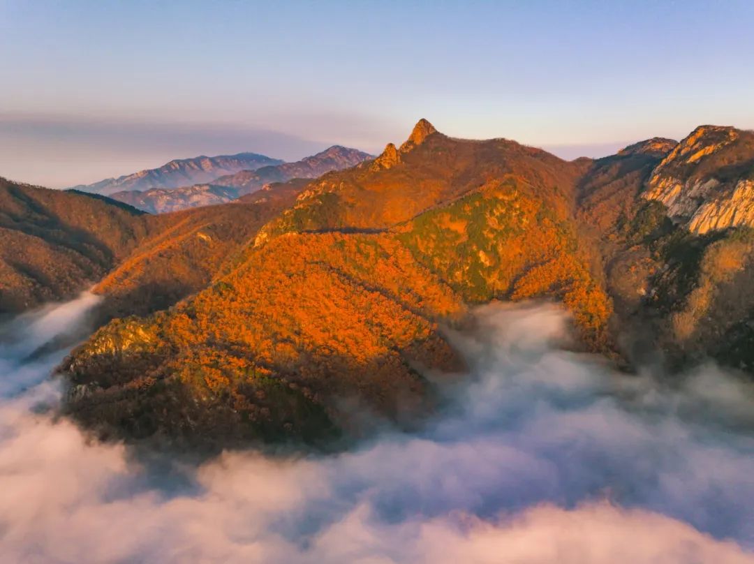 去临沂玩的免费攻略,来临沂推荐去玩的地方