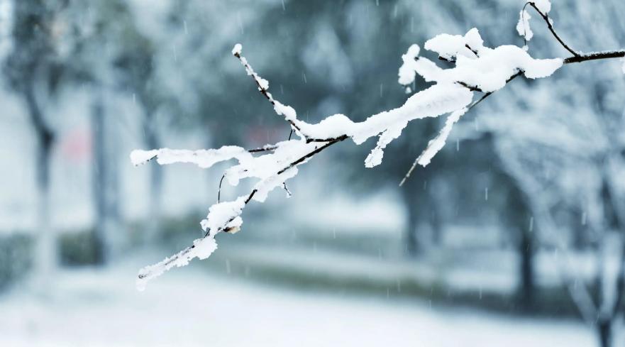 关于初雪的诗句古诗名句,写初雪的诗句古诗大全