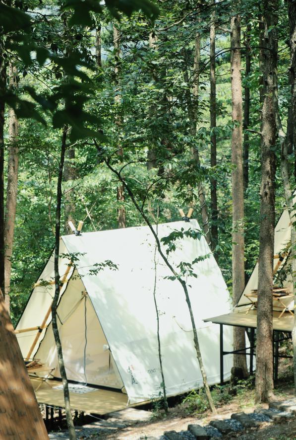 不愧是天下第一山真的很壮观,不愧是天下第一奇山