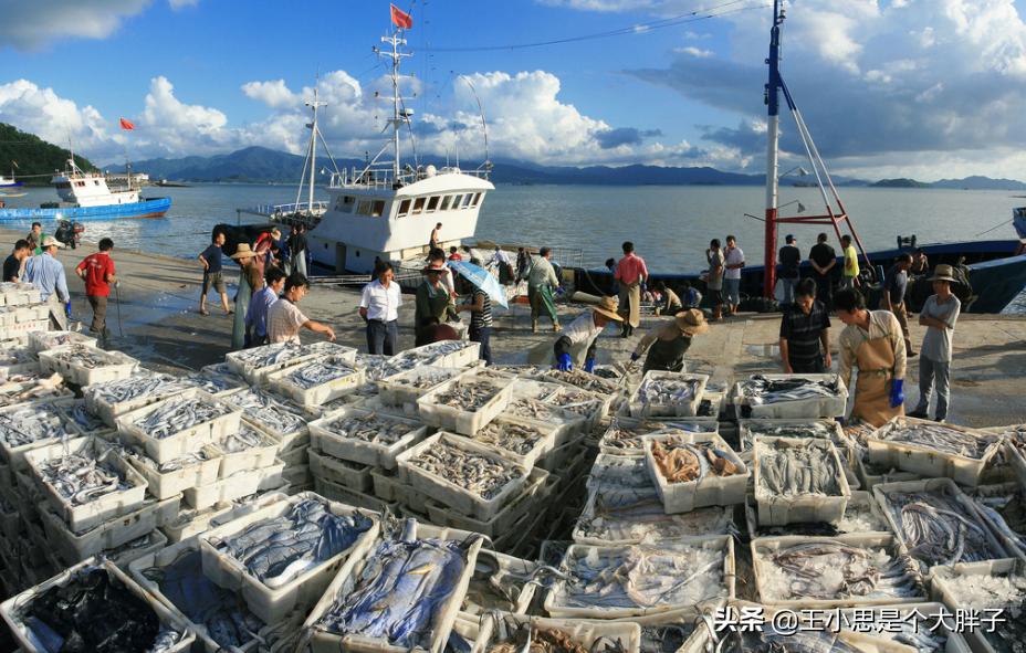 六种野生鱼不能人工养殖,市场上这6种鱼放心购买