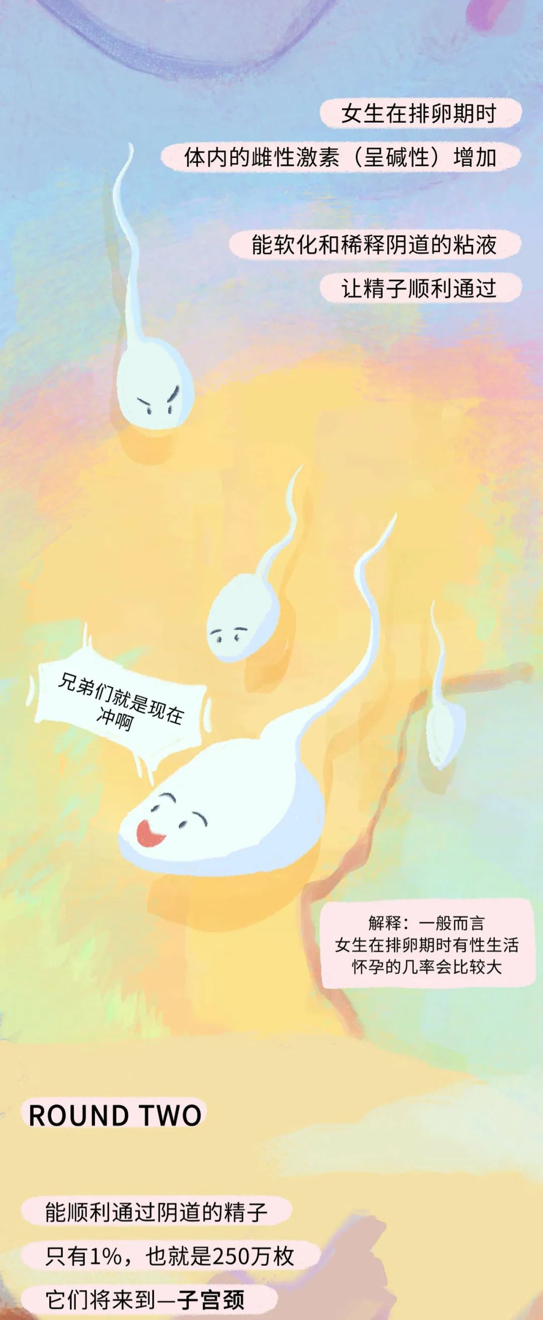 女人是如何怀孕的呢,女性怀孕的全部过程