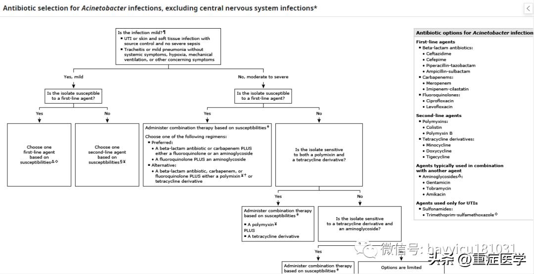 不动杆菌首选抗生素,不动杆菌感染有效的药物