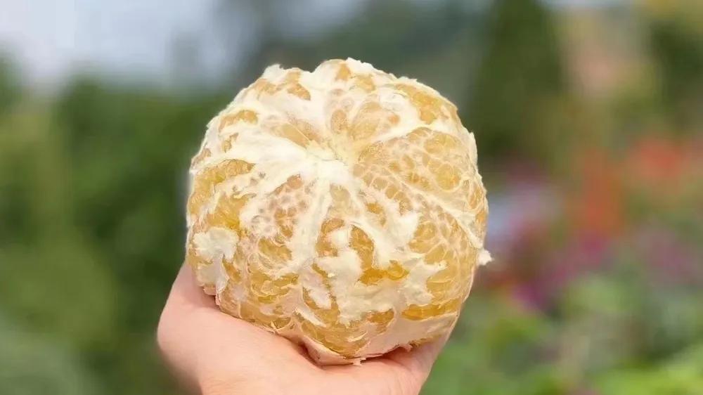 水果店为什么能赚钱,现在开一个水果店赚钱吗