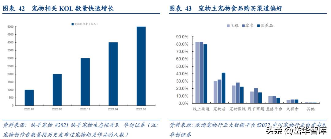 乖宝宠物食品集团市场前景,宠物龙头企业现状