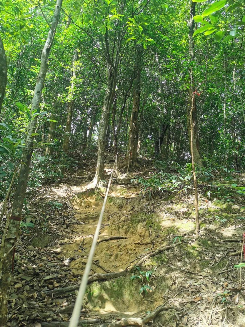 广州从化第一峰天堂顶,广州第一峰从化