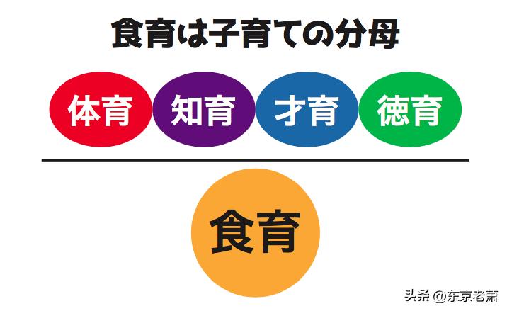 日本高等教育发展历程,日本国民教育解读