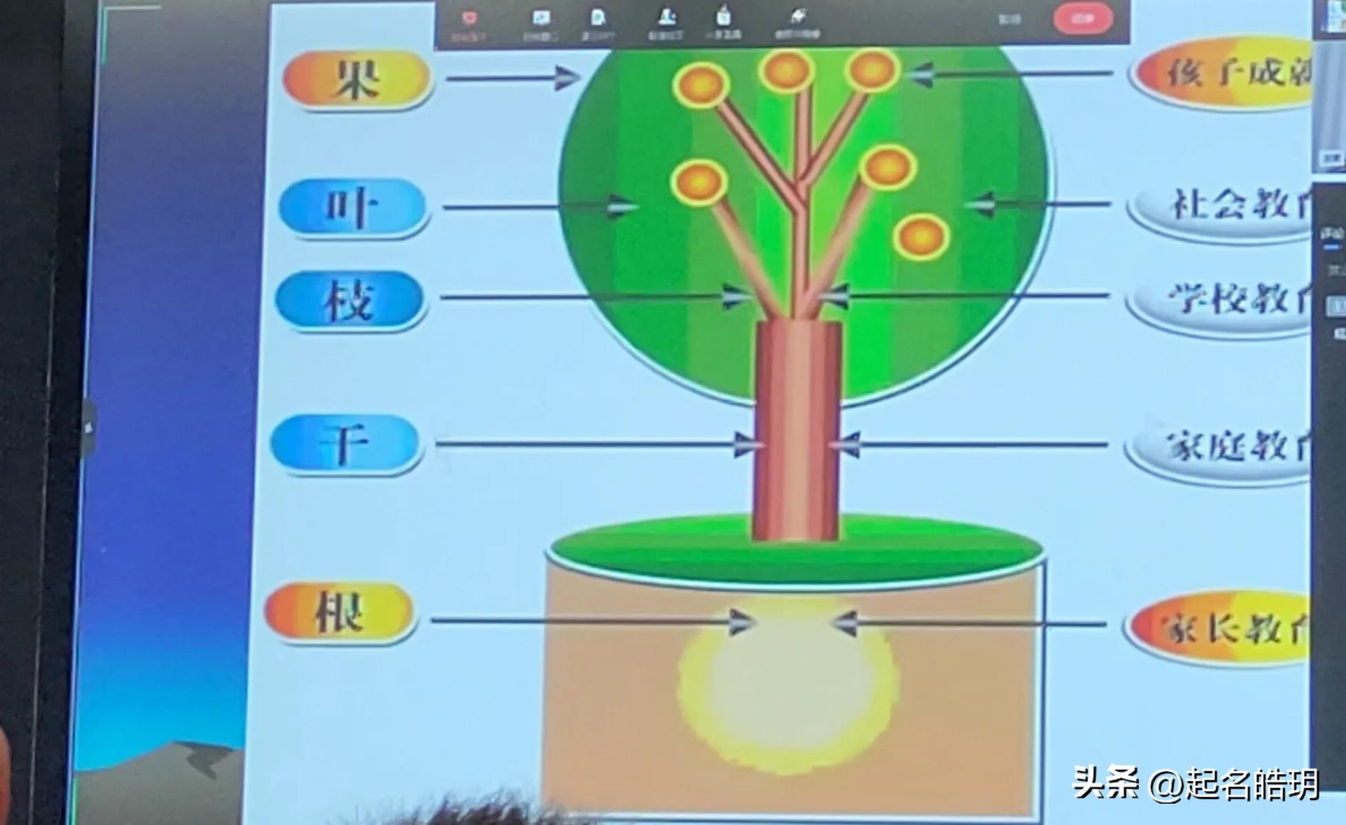 小学家校共育讲座家长感言,一年级家长会后家长感言范文
