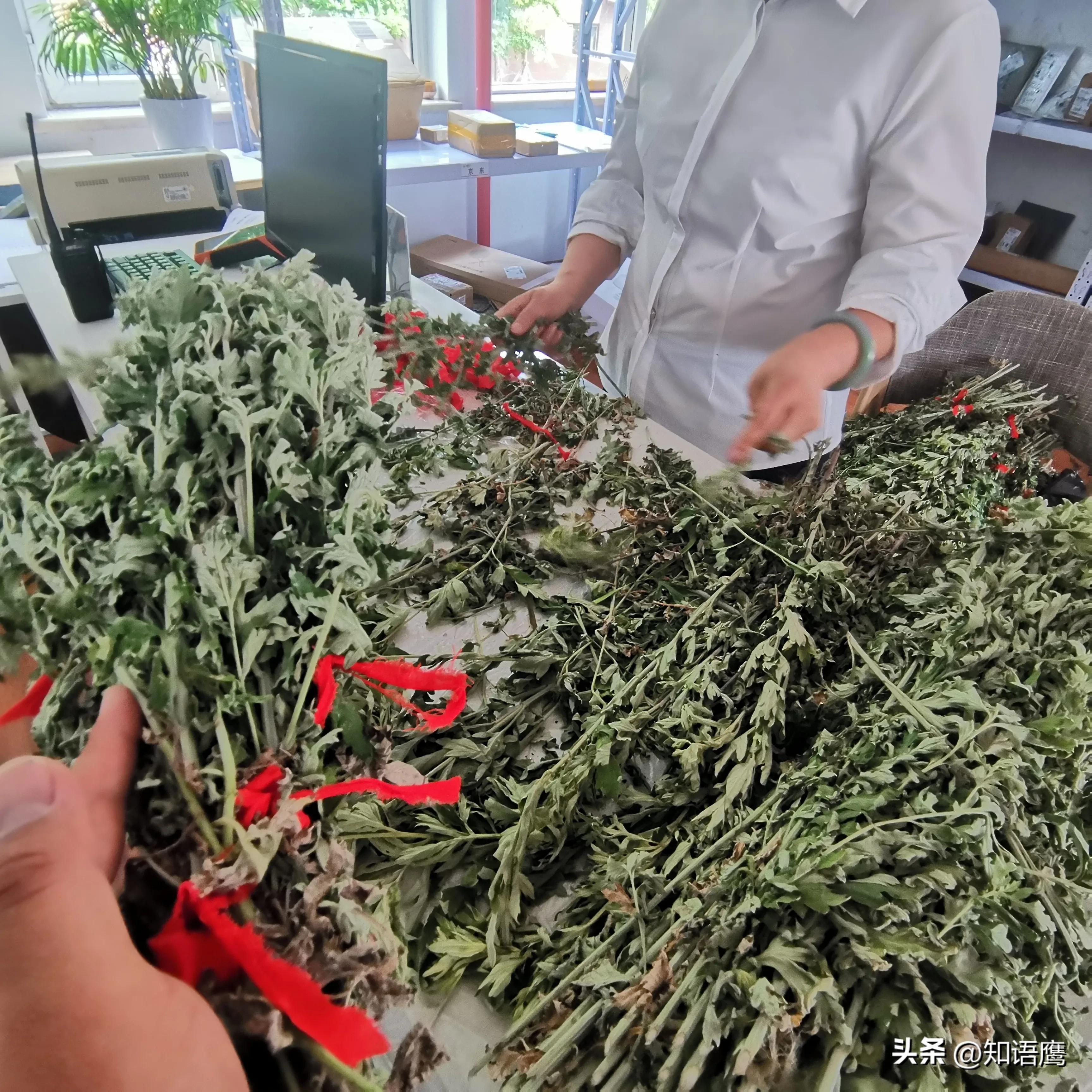 端午节物业社区活动方案,物业传承文化迎端午活动