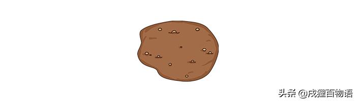 狗狗正常便便是怎样的,狗狗便便怎样算正常