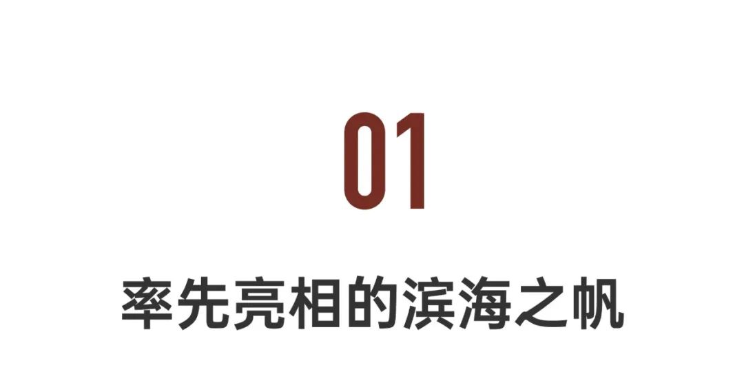 耗资30亿打造的科技之城,世界上跨度最大的体育馆