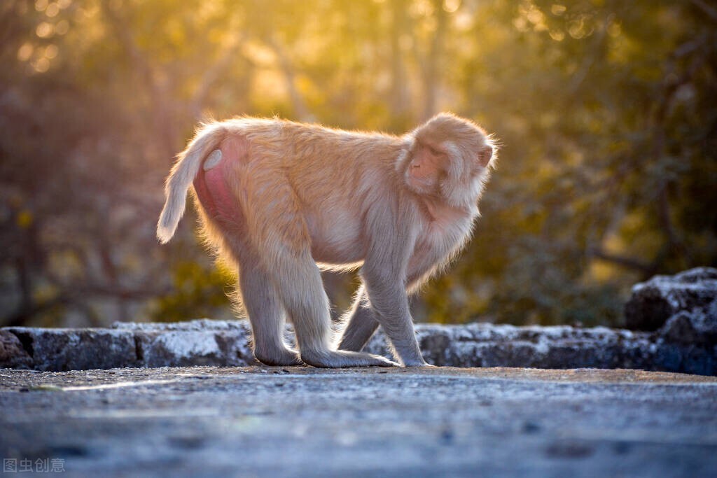 鐮旂┒sars-cov-2鐥呮瘨,cov2鍙樺紓鐥呮瘨鐤嫍