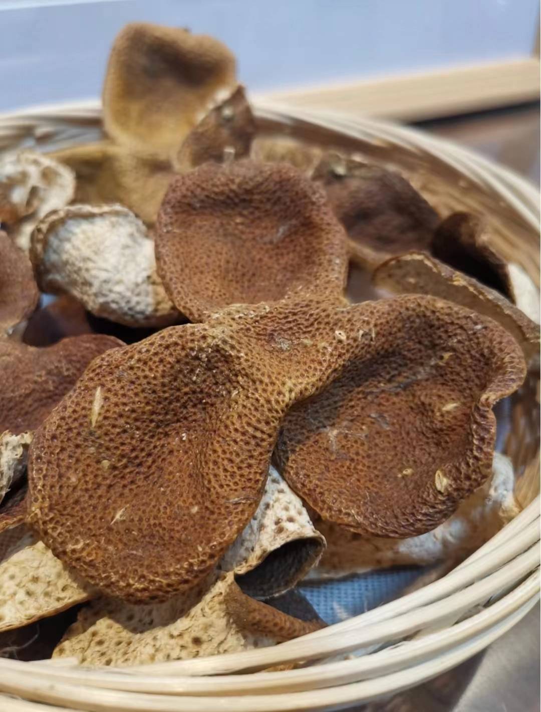 怎样区分圈枝树和驳枝树,如何分辨圈枝陈皮和驳枝陈皮