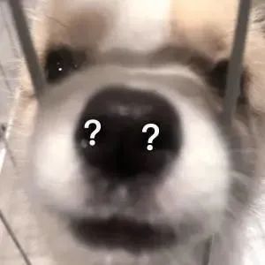 上海学生一身衣服价值127万,上海一学生穿100万衣服真的假的