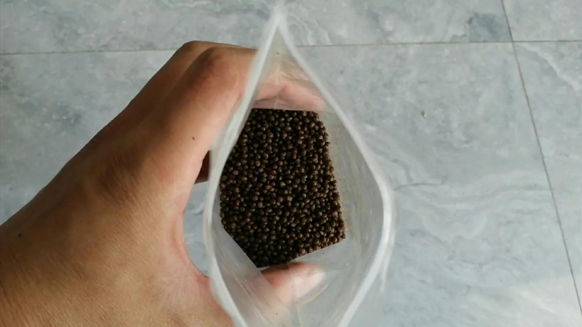 小乌龟是怎么存活到100天下去的,小乌龟能活很久的办法是什么