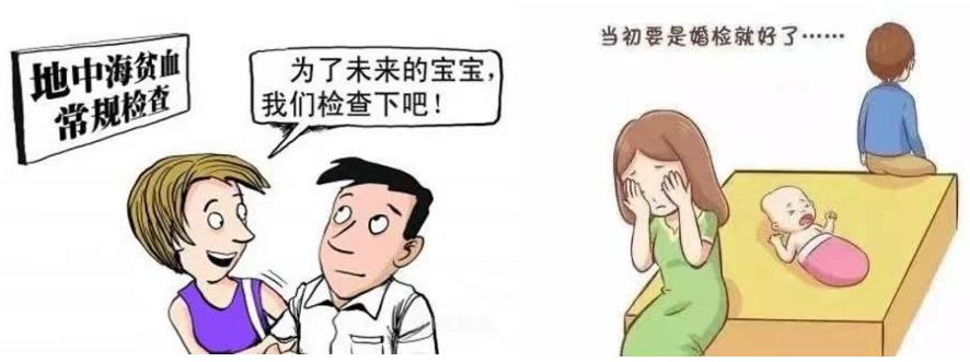 地中海贫血症状危害,轻型b型地中海贫血