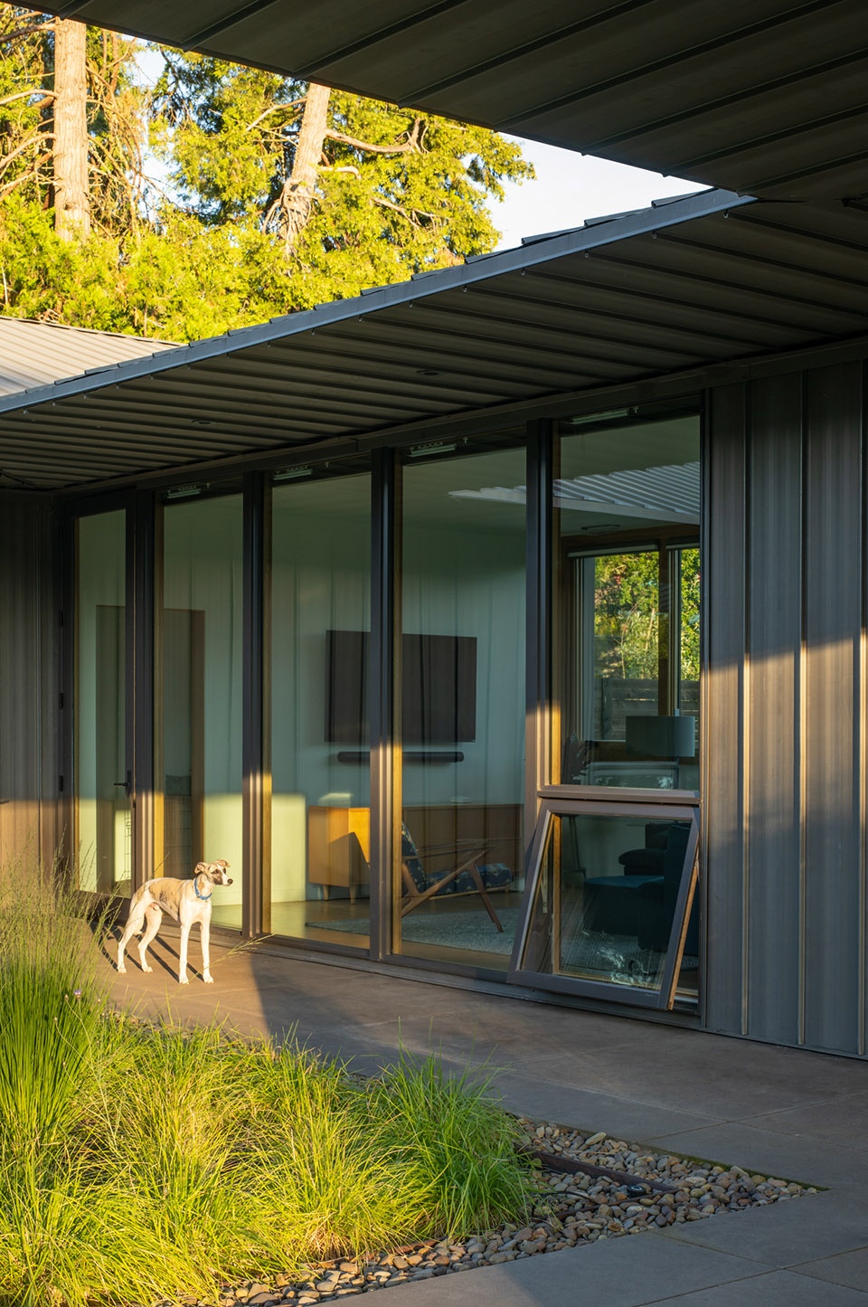 美国平房住宅,草地房屋建筑设计