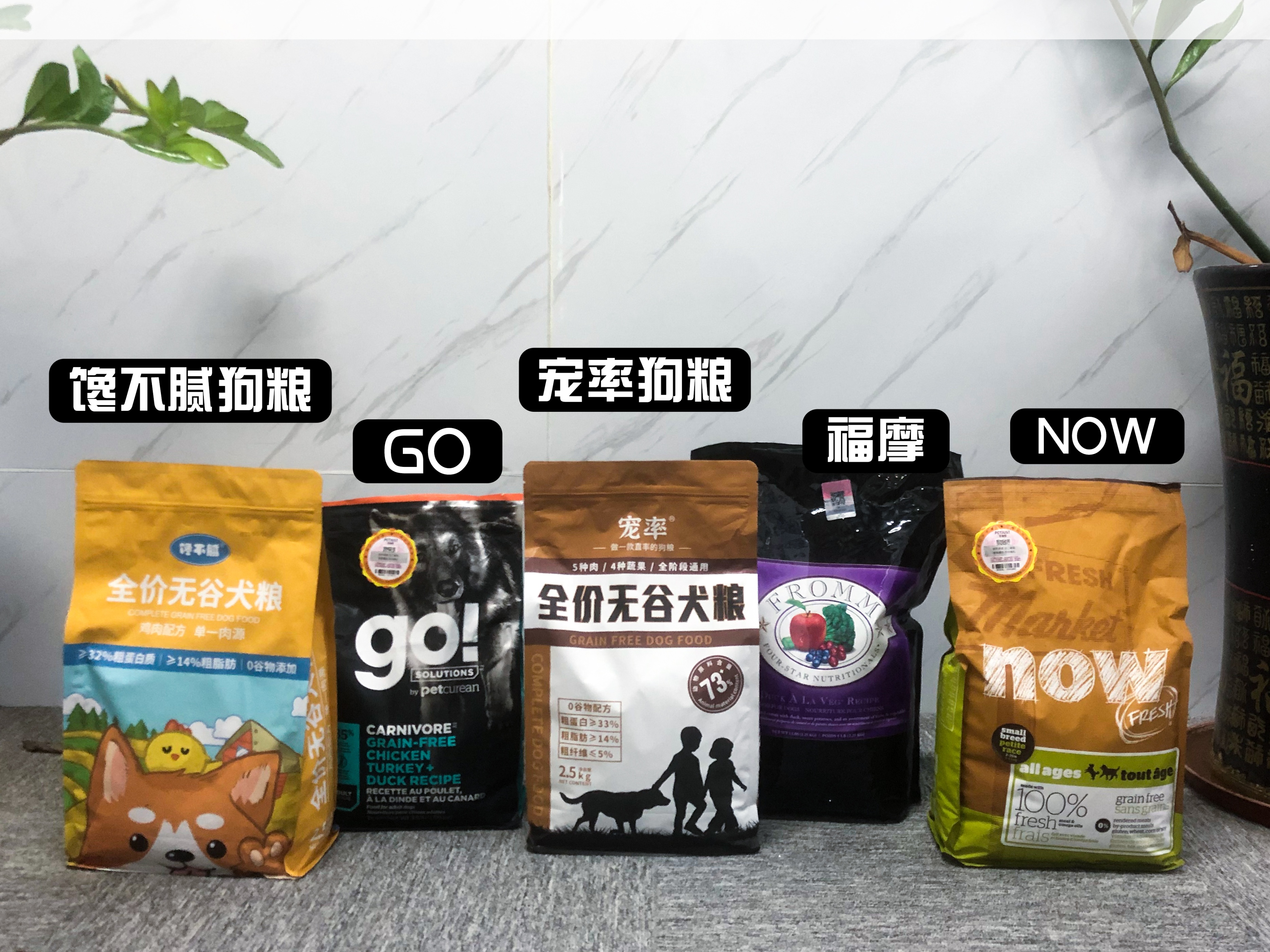 拉布拉多怎么避免肥胖,养一只拉布拉多一个月花多少钱