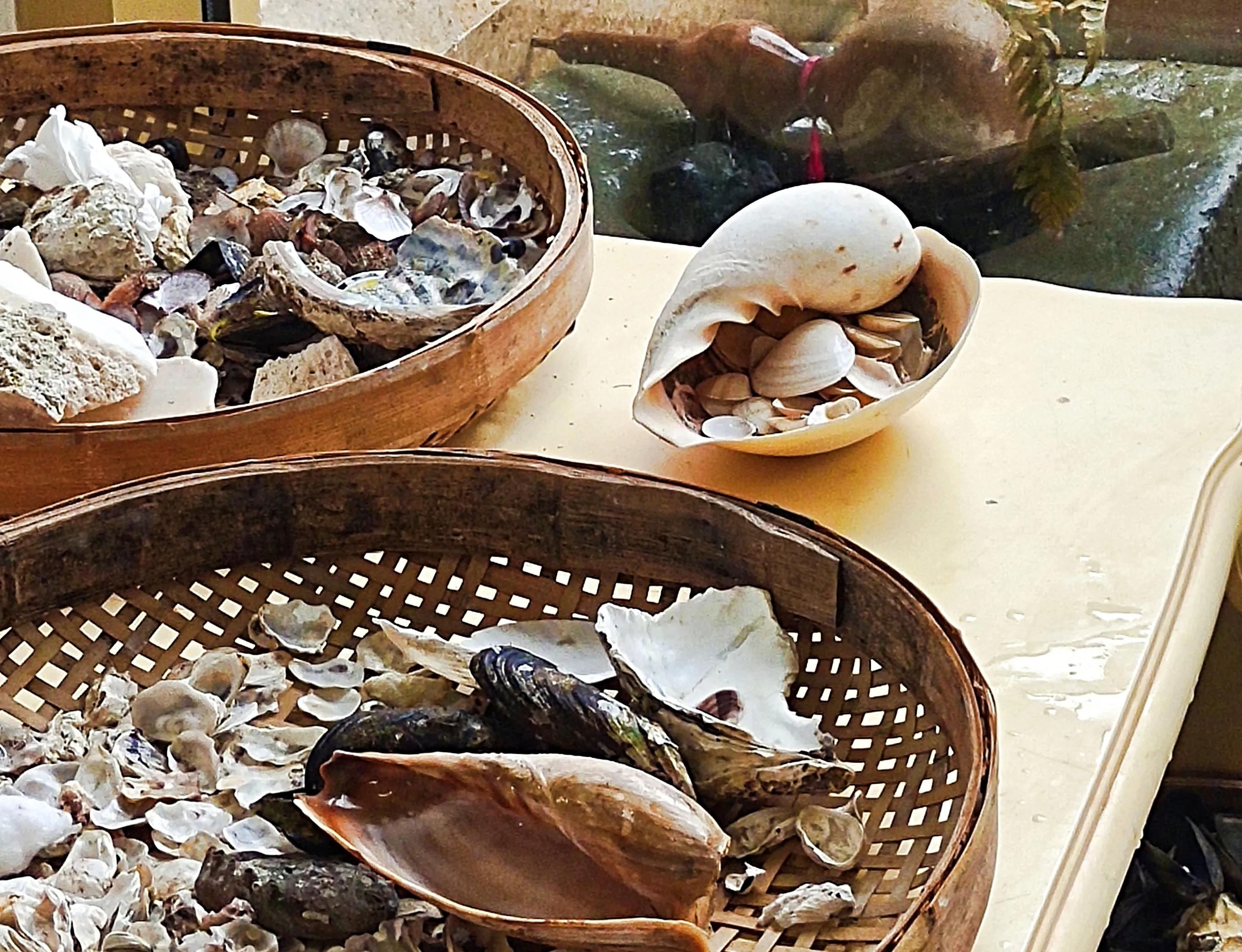 人靠衣装马靠鞍,人靠衣装马靠鞍对吗