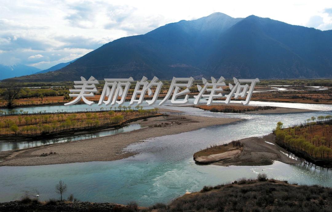 70年代初，我们到八一镇尼西沟大生产。莲花白最大的有16斤…