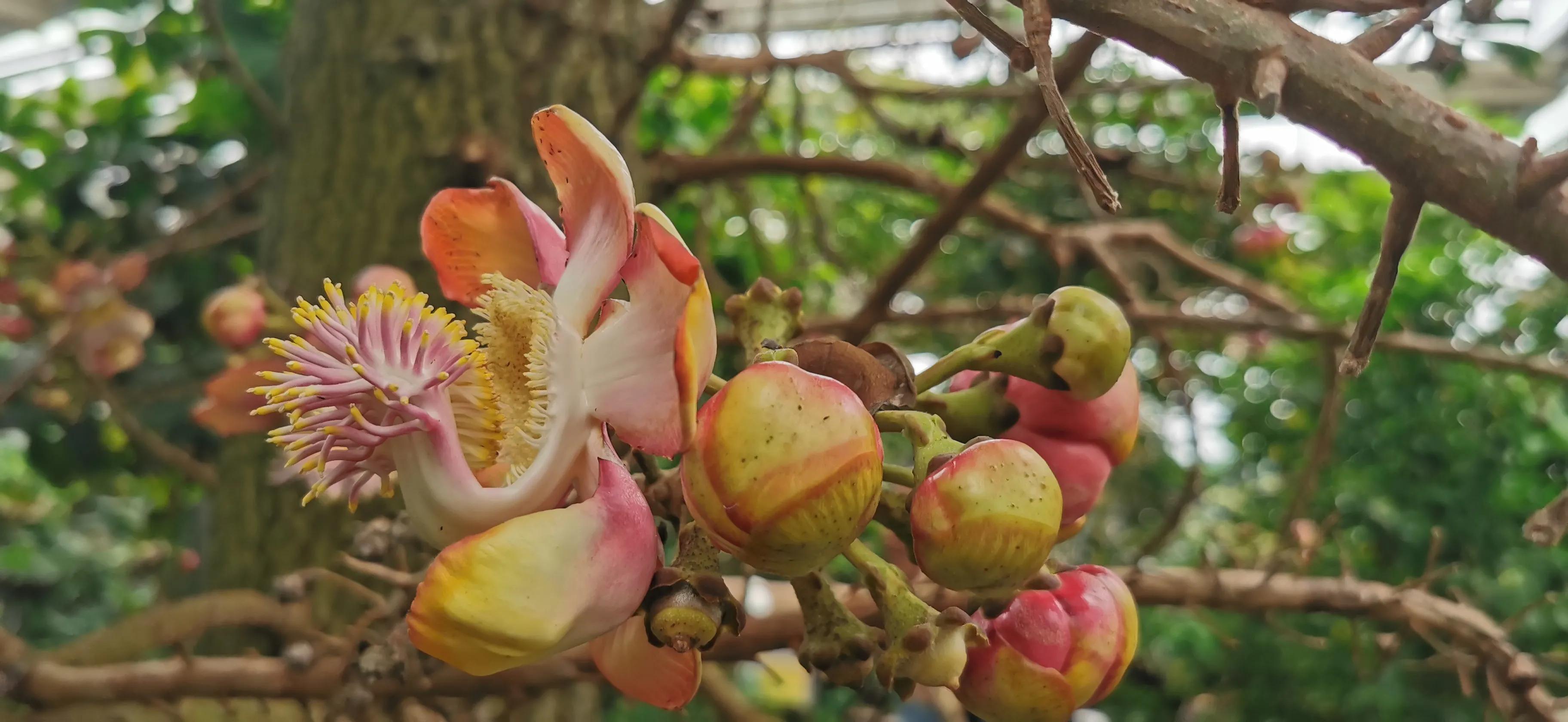 两人自驾装备,两人一车带什么装备